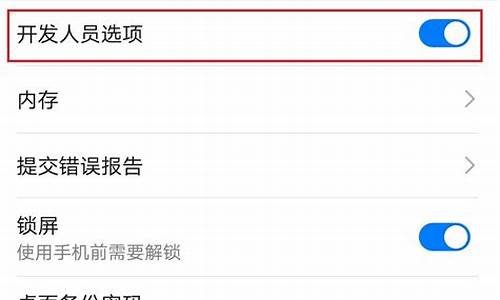 华为手机开发者选项在哪里能找到_华为手机 开发者选项在哪里